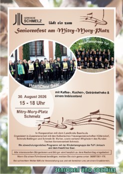 PDF mit Seniorenseite KW31 Seite 3