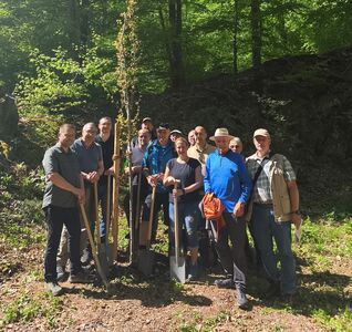 JPG Tag des Baumes
