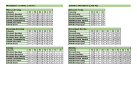 PDF mit Fahrplan Linie R3