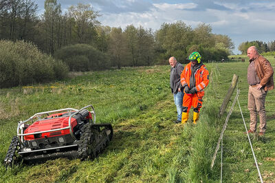 Beispielbild Mähraupe